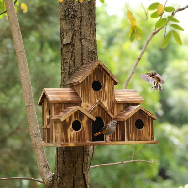 Handcrafted wooden nest box with multiple entry holes