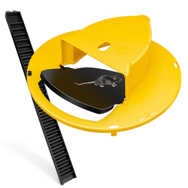How the bucket mouse trap works showing counter-weighted platform auto-reset sequence in 4 steps