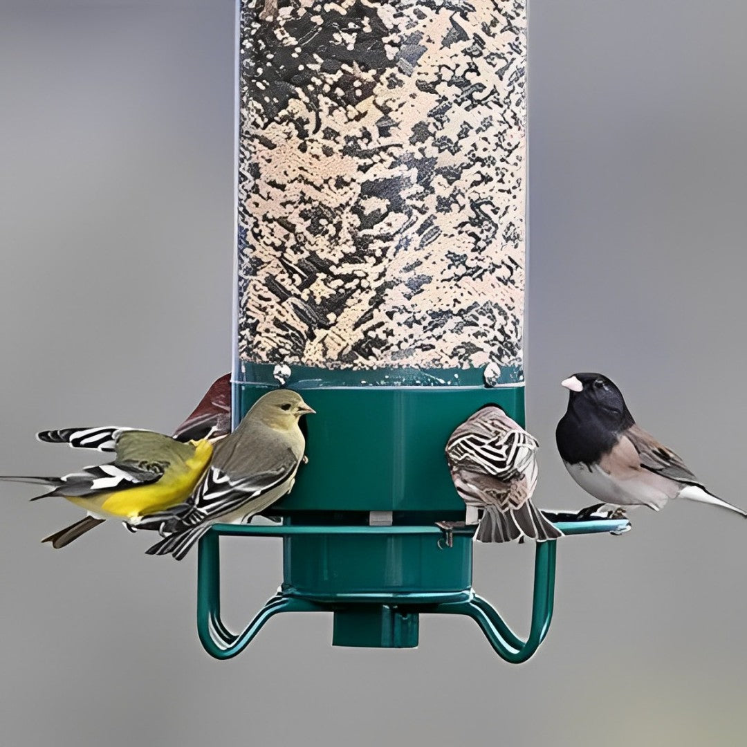 Squirrel Proof Bird Feeder – Hanging Seed Feeder with Weight-Activated Perch