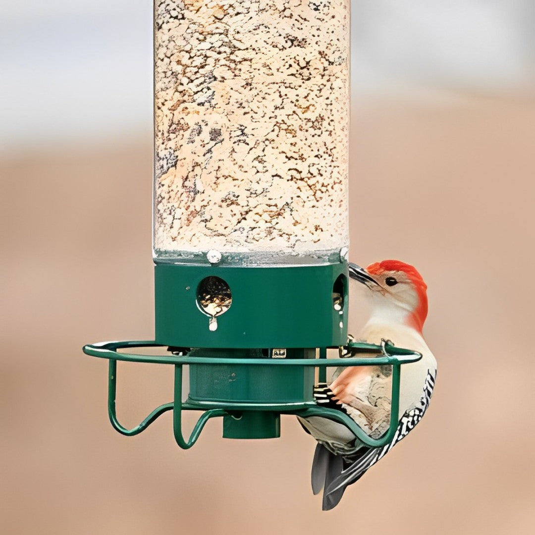 Squirrel Proof Bird Feeder – Hanging Seed Feeder with Weight-Activated Perch