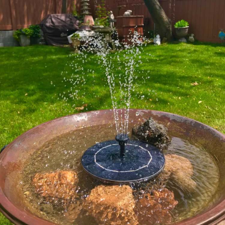Solar Fountain Pump – Floating Bird Bath & Pond Fountain